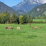 Recherhof