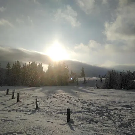 Recherhof *